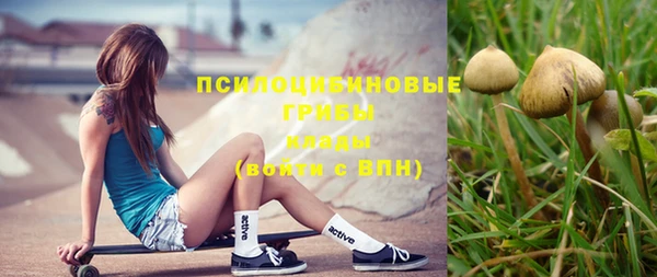 герыч Магас